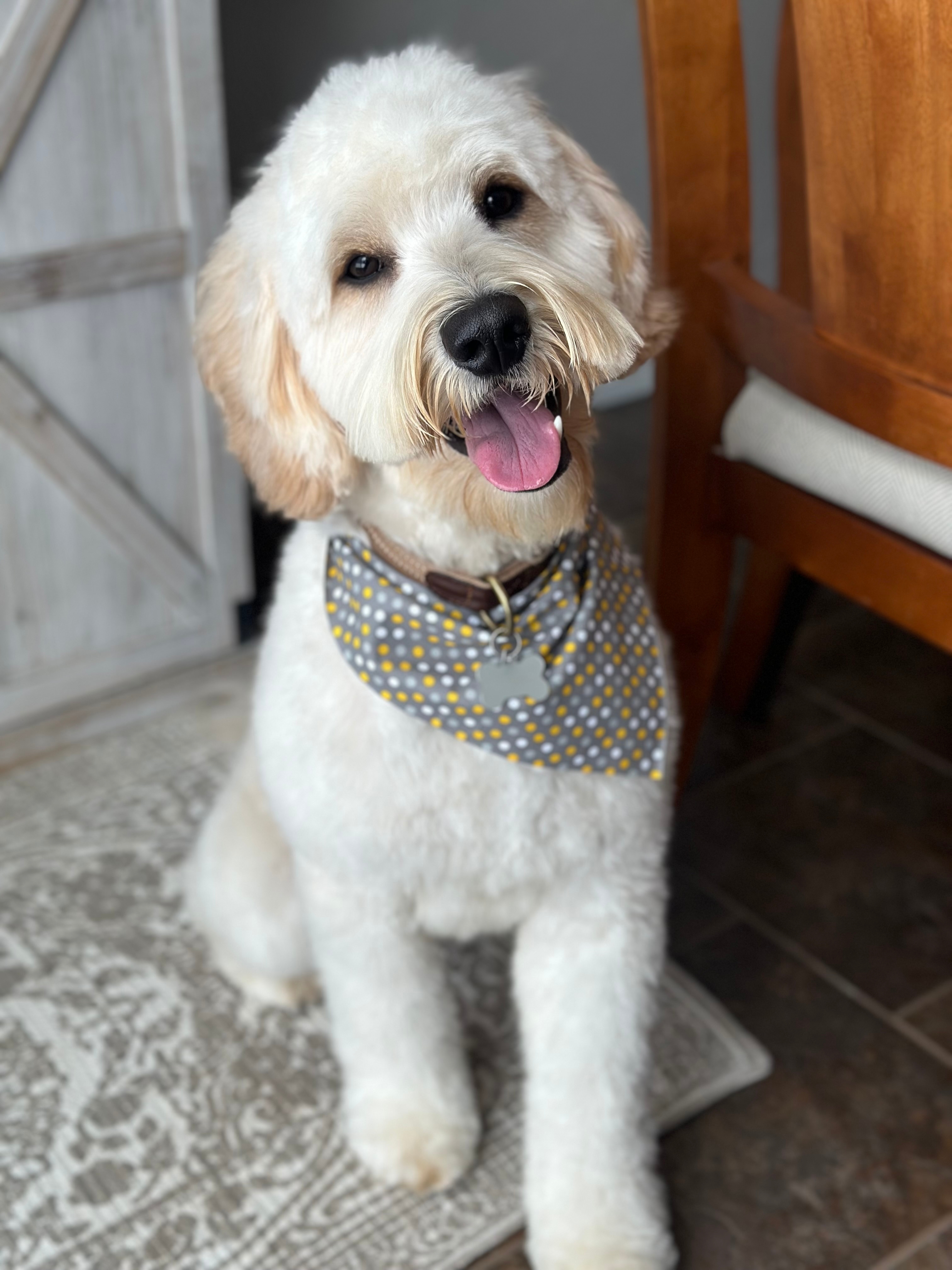 Willow Haven Arlo